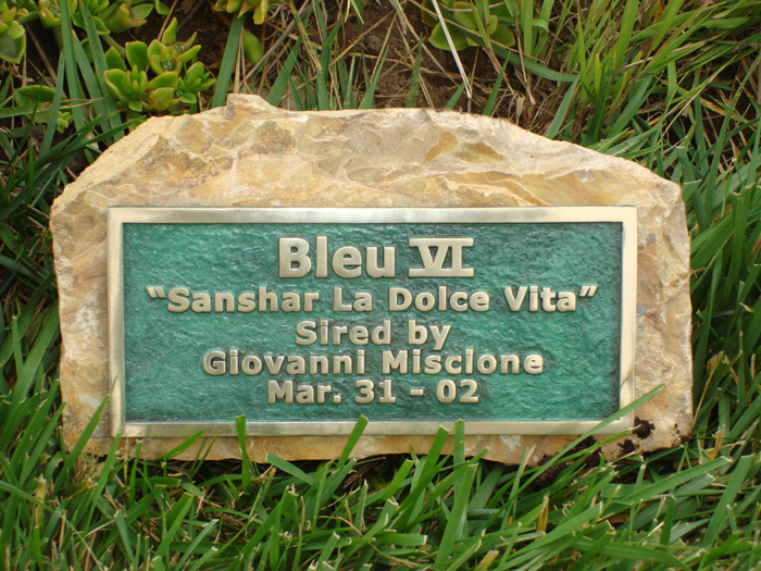 memorial plaque, memorial headstone, bronze headstone, bronze gravemarker
